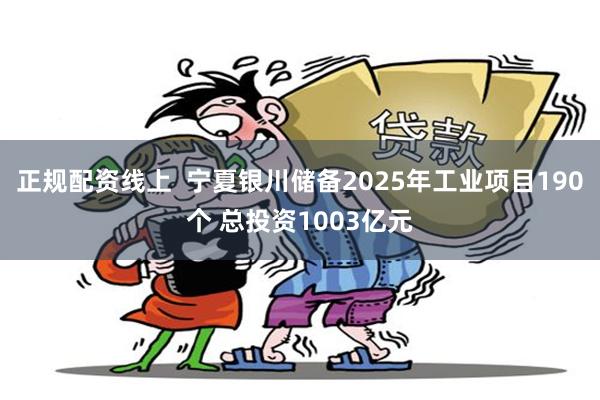 正规配资线上  宁夏银川储备2025年工业项目190个 总投资1003亿元