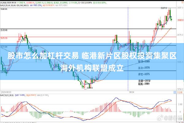 股市怎么加杠杆交易 临港新片区股权投资集聚区海外机构联盟成立