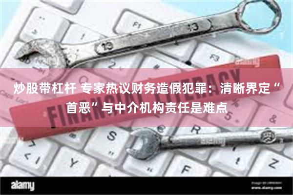 炒股带杠杆 专家热议财务造假犯罪：清晰界定“首恶”与中介机构责任是难点