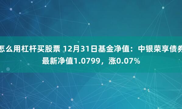 怎么用杠杆买股票 12月31日基金净值：中银荣享债券最新净值1.0799，涨0.07%