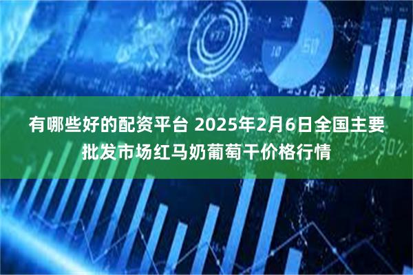 有哪些好的配资平台 2025年2月6日全国主要批发市场红马奶葡萄干价格行情