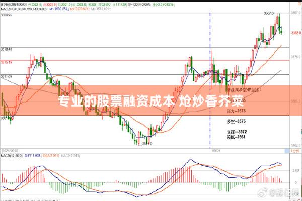 专业的股票融资成本 炝炒香芥菜