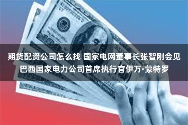 期货配资公司怎么找 国家电网董事长张智刚会见巴西国家电力公司首席执行官伊万·蒙特罗